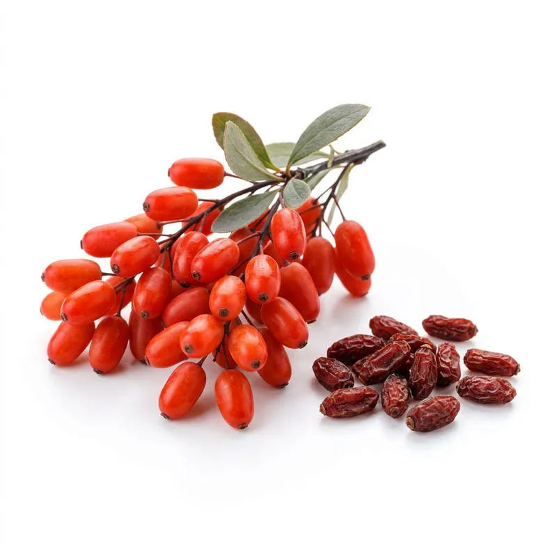 Berberys — naturalne źródło berberyny